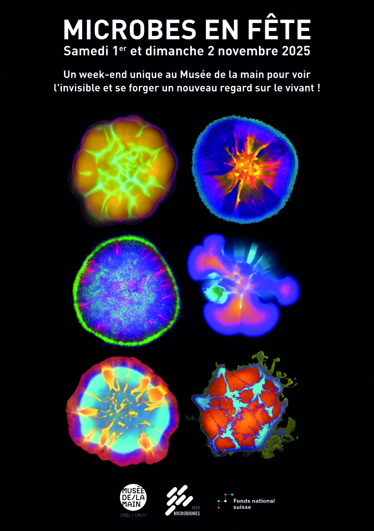 Musée de la main UNIL-CHUV I Image : Bacterial Beauty © Sean Booth