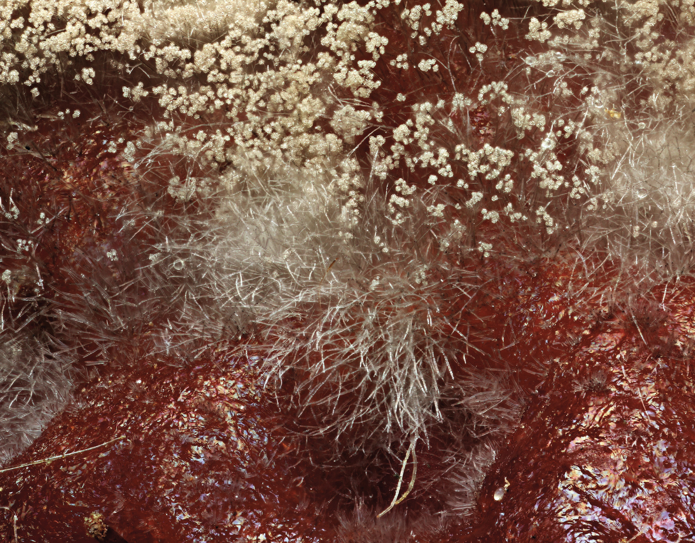 © Adobe eStock © Adobe eStock